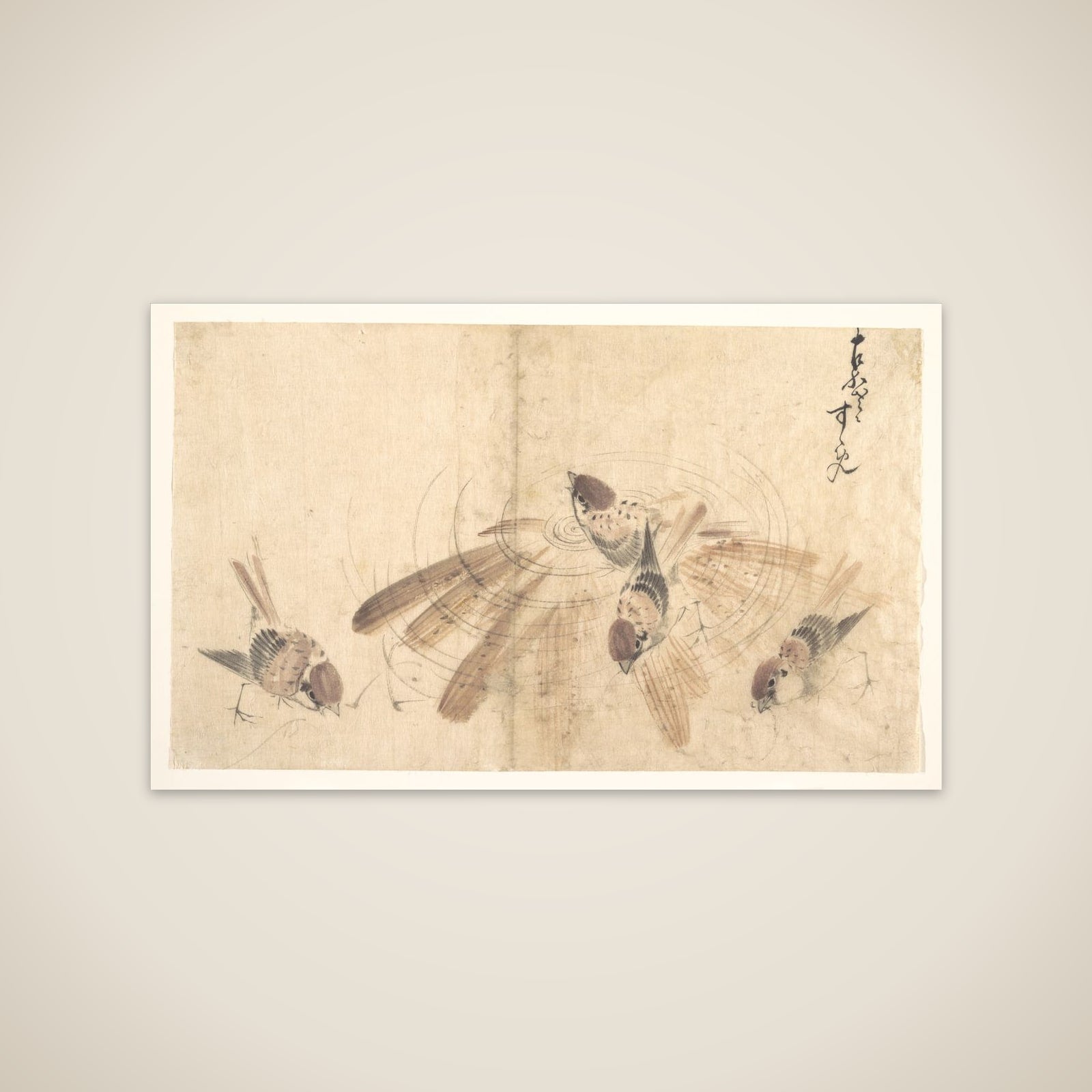 Sparrows unframed print