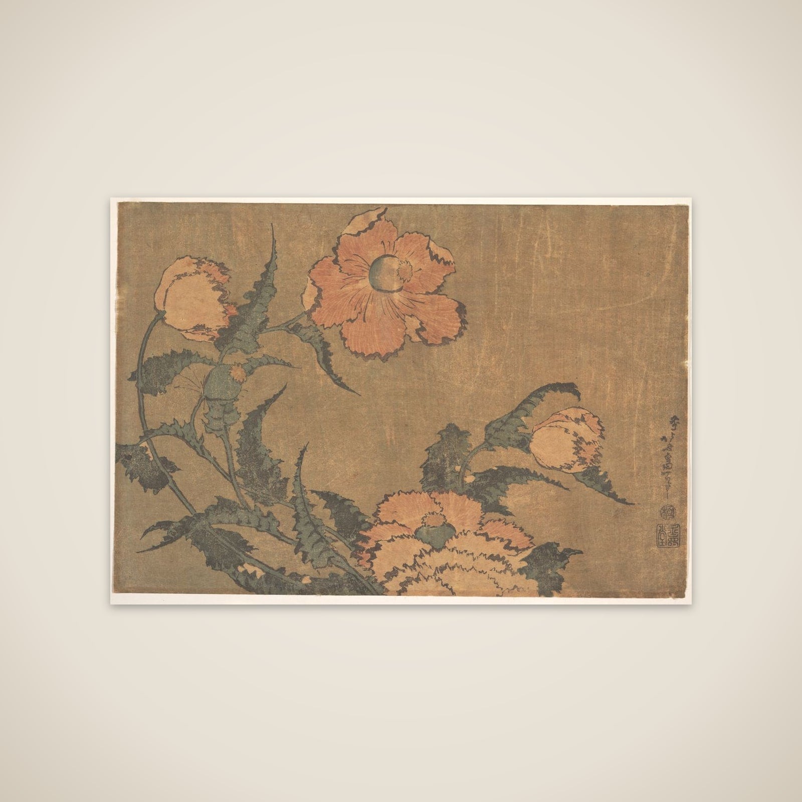 Poppies in the Wind unframed print