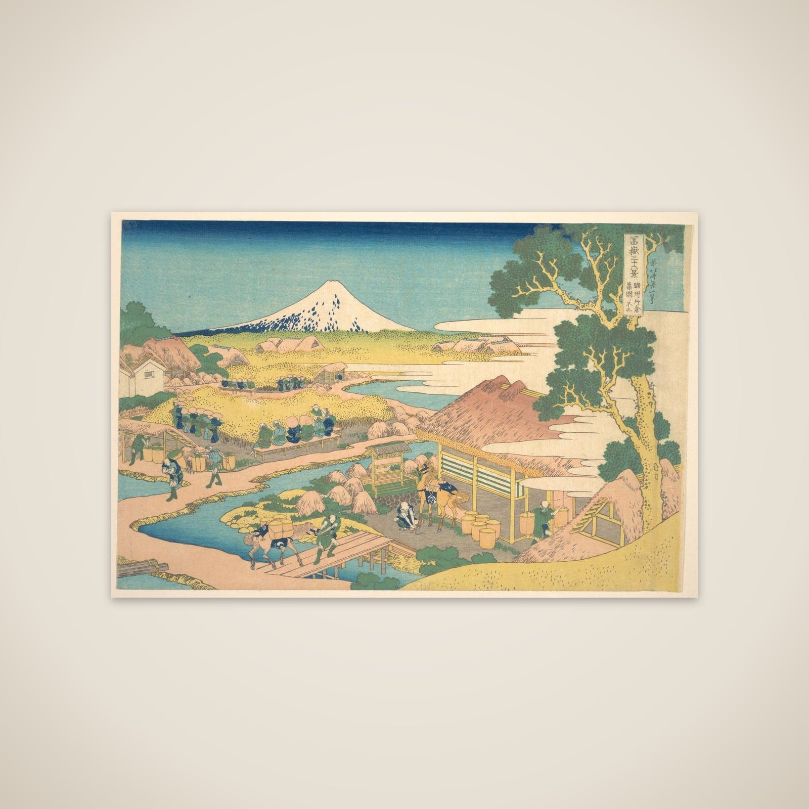 Fuji from the Katakura Tea Fields in Suruga (Sunshū Katakura chaen no Fuji), from the series Thirty-six Views of Mount Fuji (Fugaku sanjūrokkei) unframed print