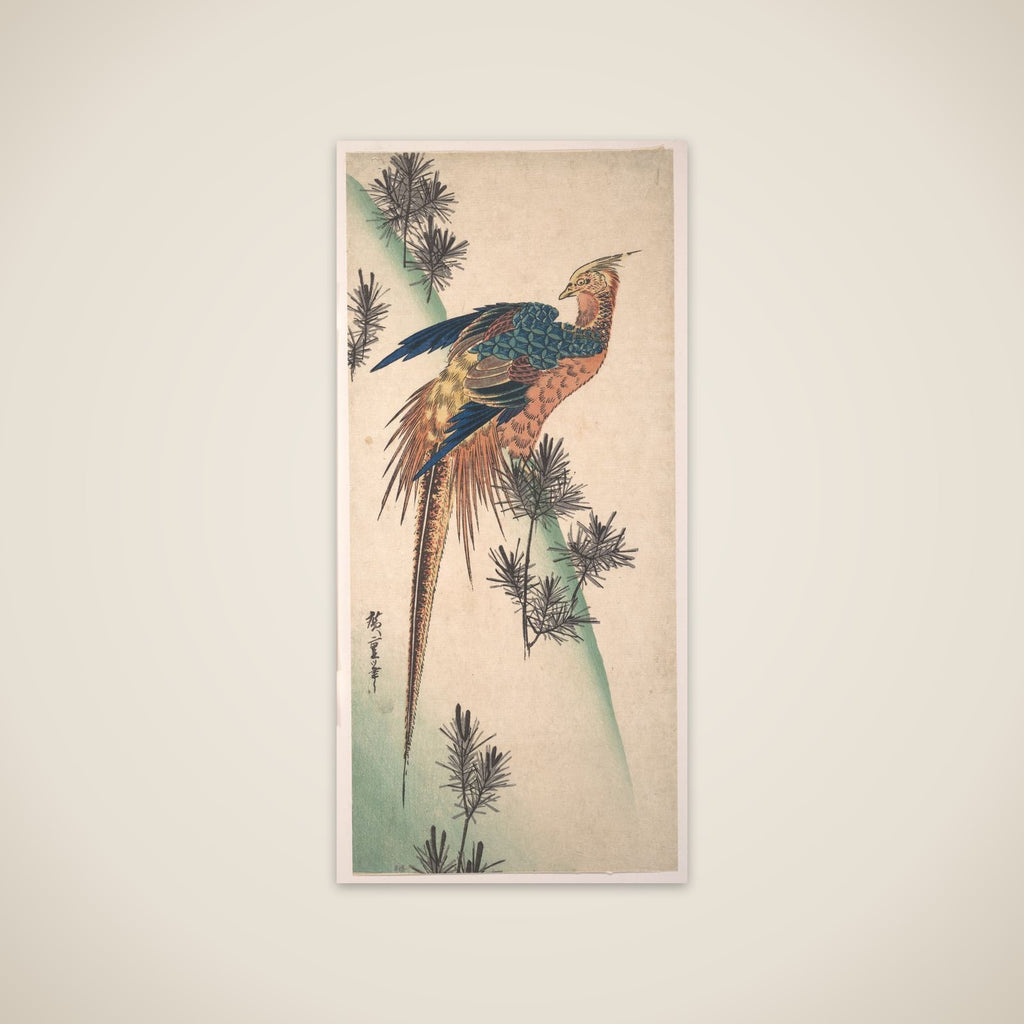 Pheasant and Pine-trees on Snowy Hillside unframed print