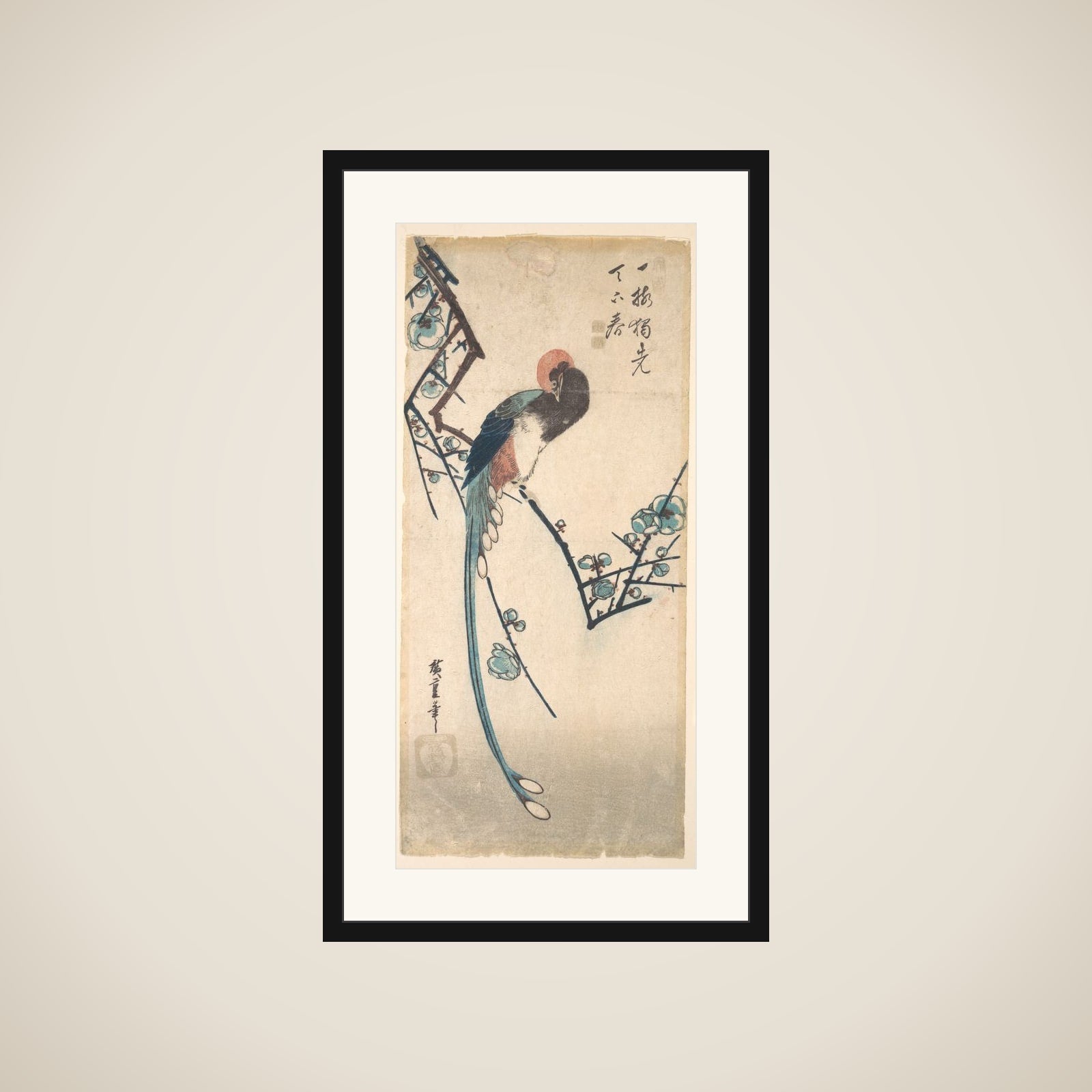 Long Tailed Bird framed