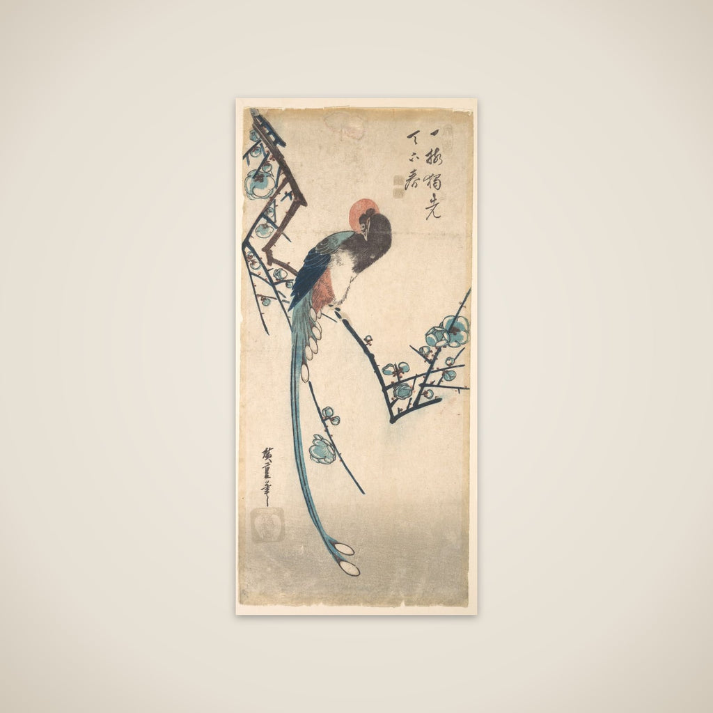 Long Tailed Bird unframed print
