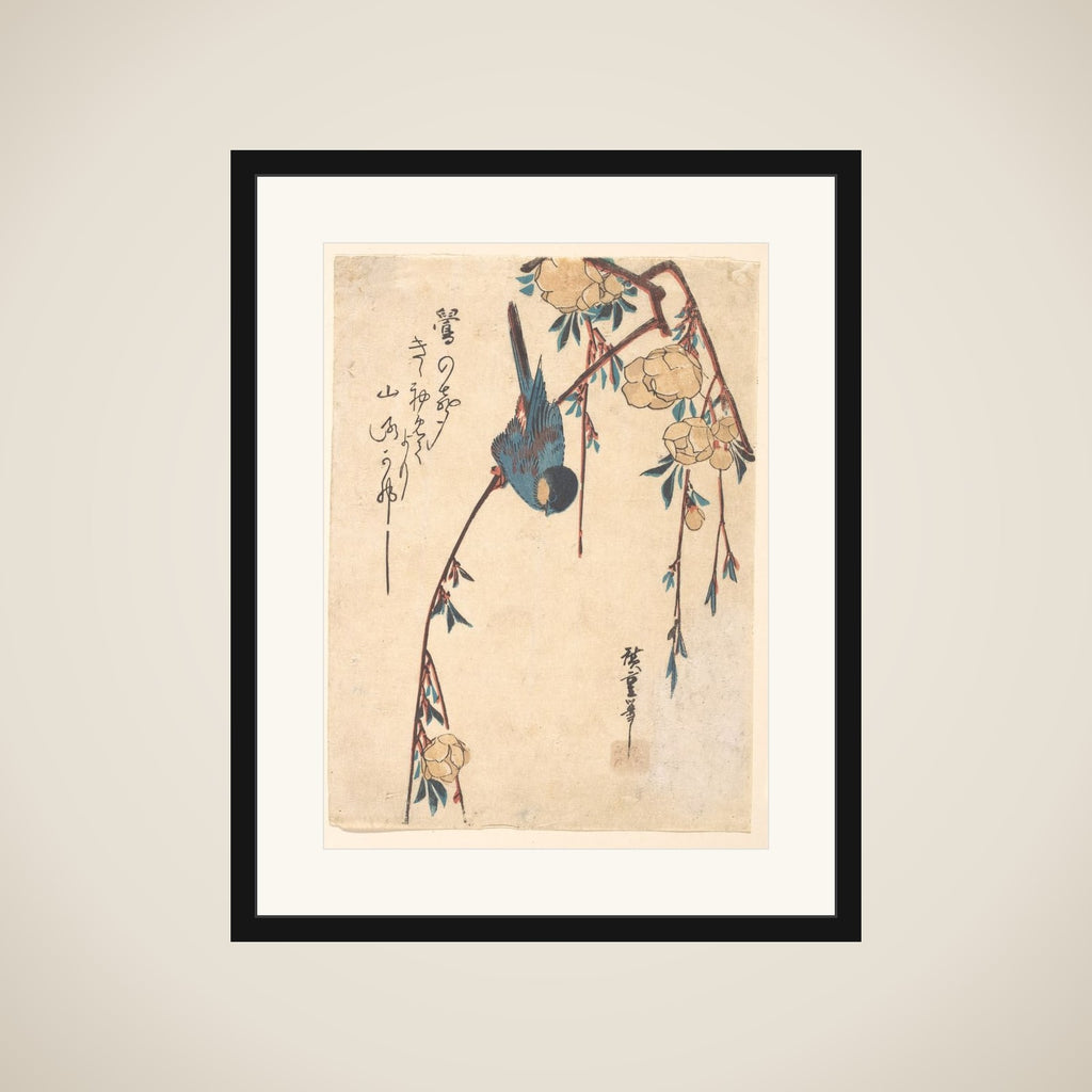 Weeping Cherry framed