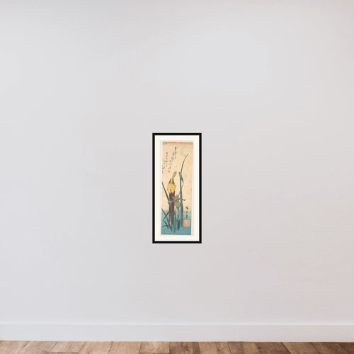 Bird and Iris framed — shown to scale