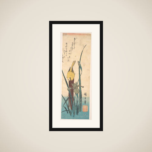 Bird and Iris framed