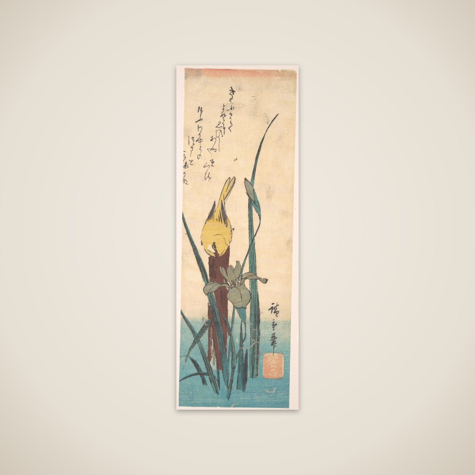 Bird and Iris unframed print