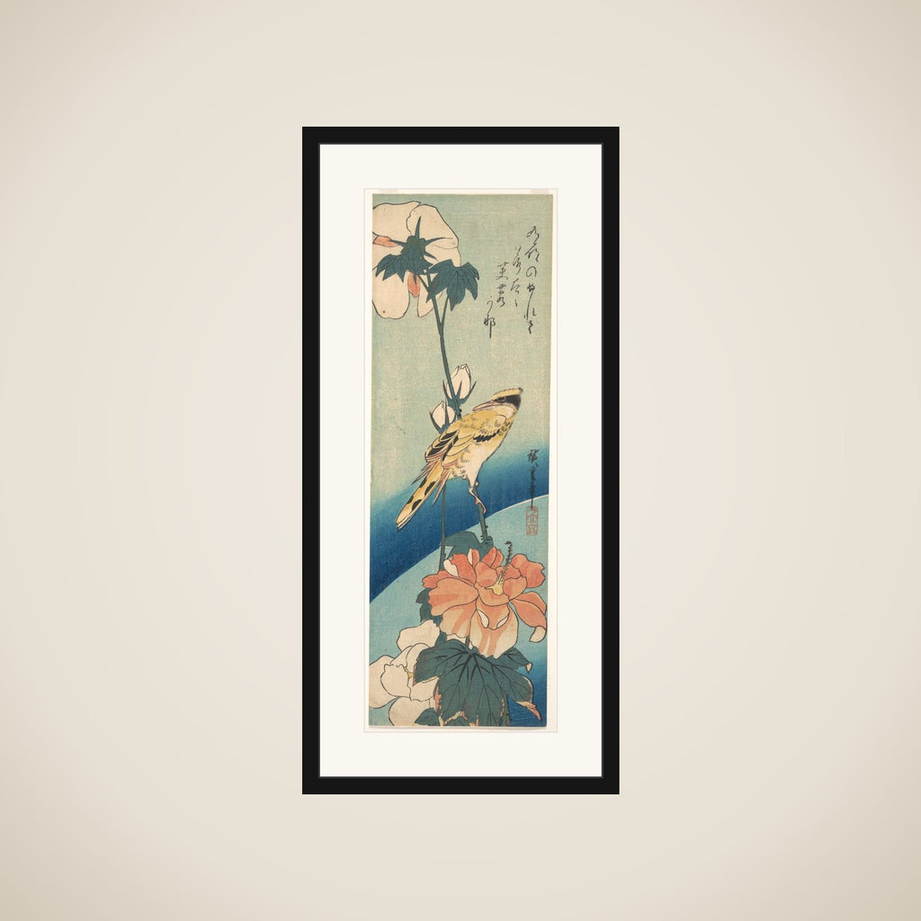 A Black-Naped Oriole on a Stem of Rose Mallow framed