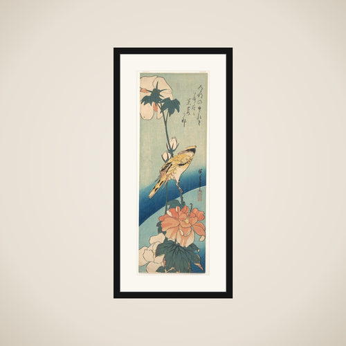 A Black-Naped Oriole on a Stem of Rose Mallow framed