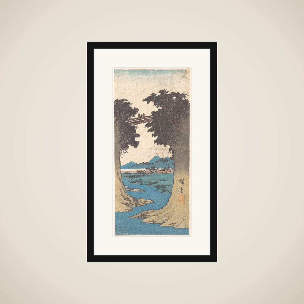 The Monkey Bridge framed