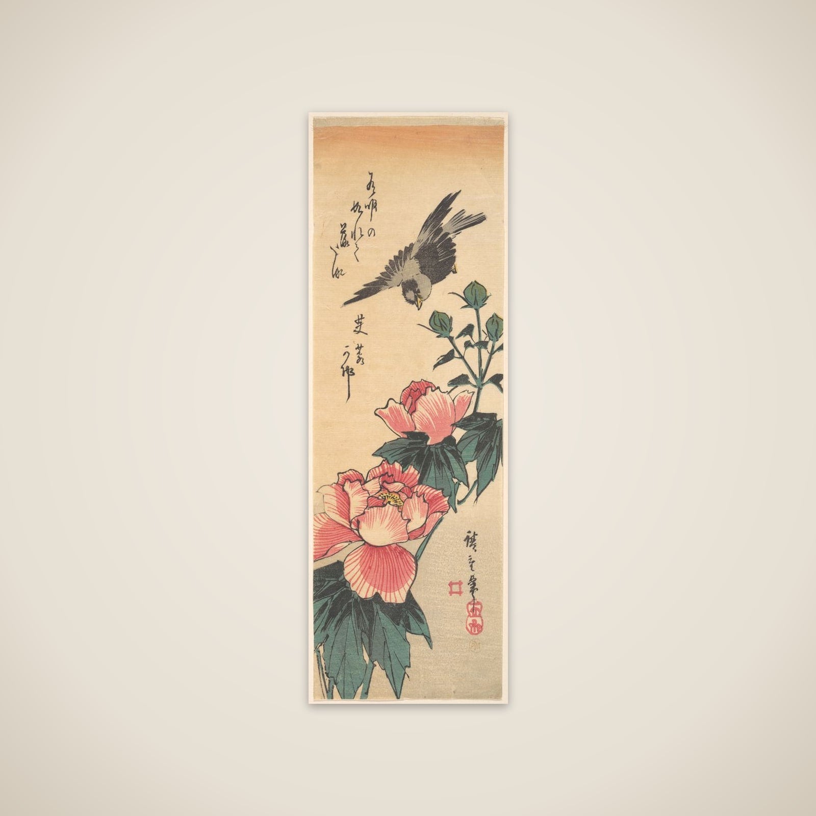 Sparrow and Hibiscus unframed print