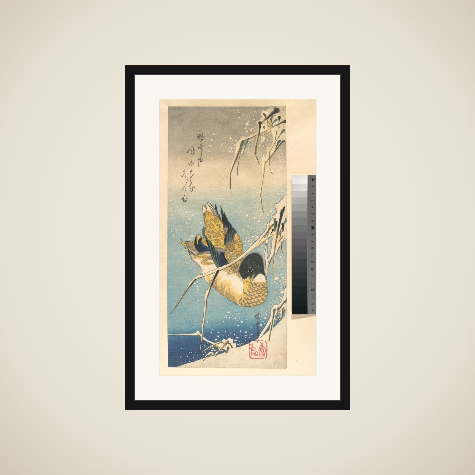 Mallard Duck and Snow-covered Reeds framed