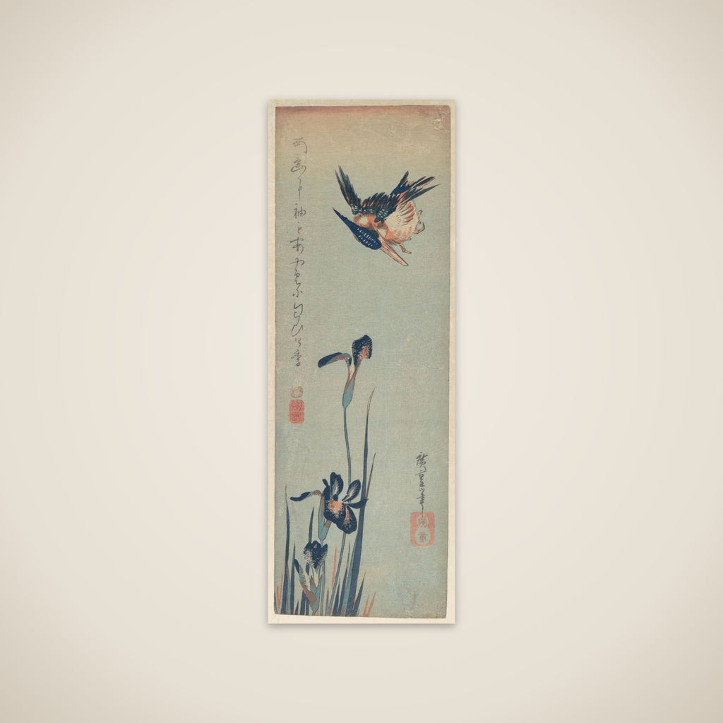 Kingfisher and Irises unframed print