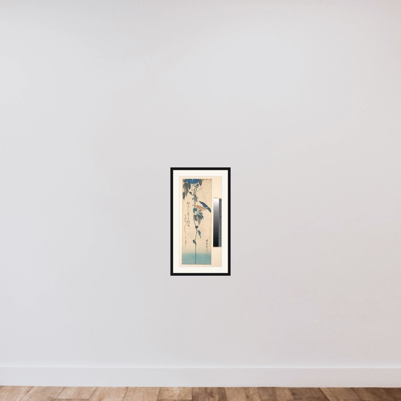 Grasshopper and Morning-glory Vine framed — shown to scale