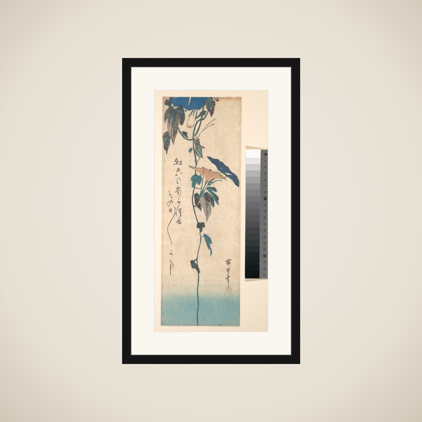 Grasshopper and Morning-glory Vine framed