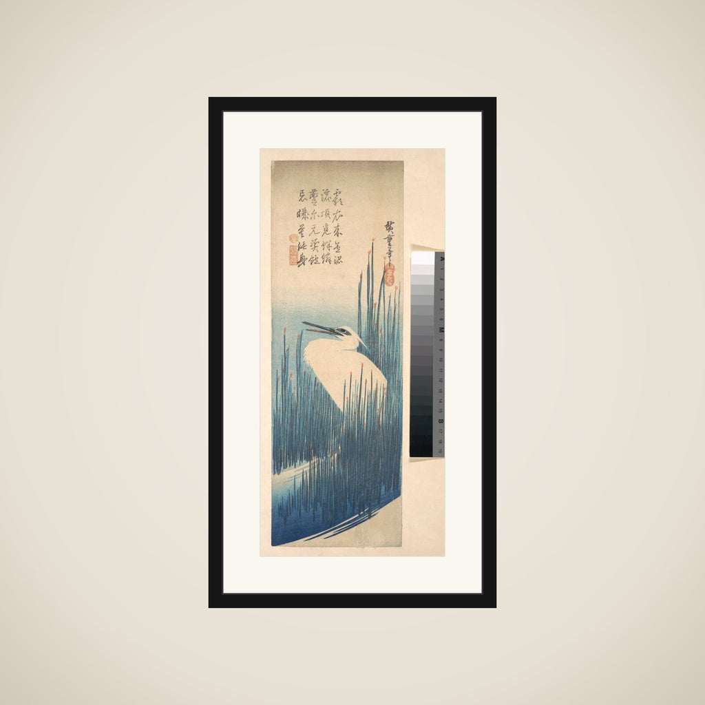 White Heron Standing among Reeds framed