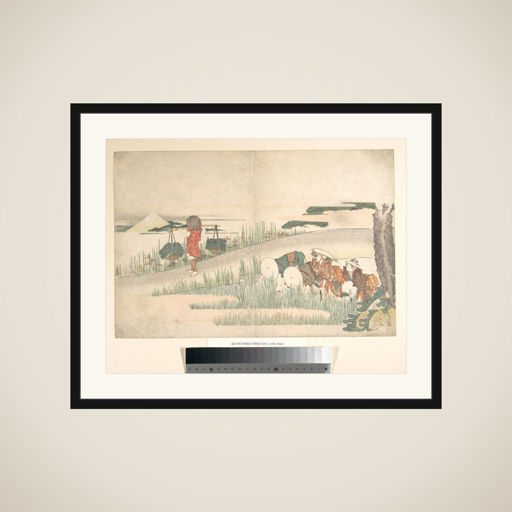Spring in the Rice Fields framed