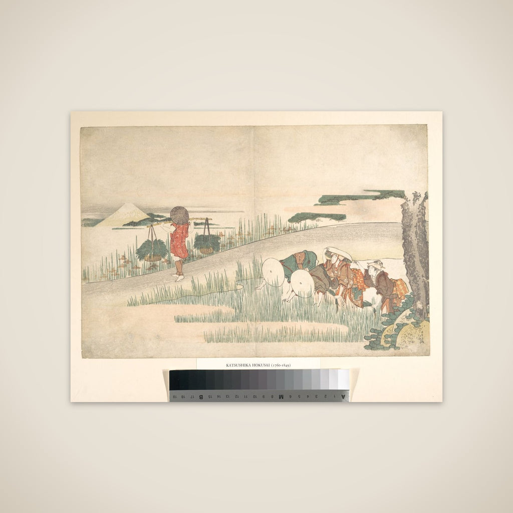 Spring in the Rice Fields unframed print