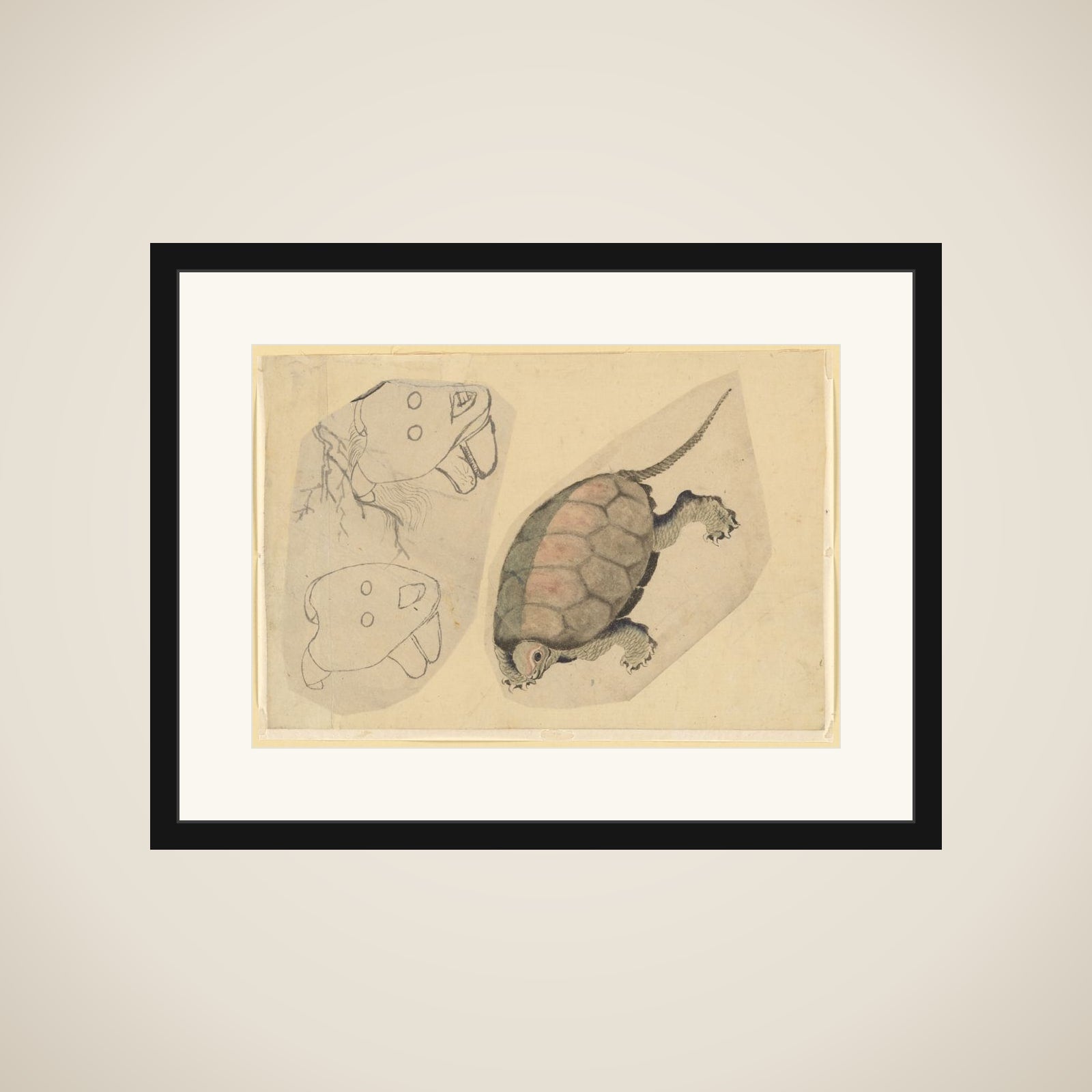 Two Sketches: One of a Turtle, the Other of Two Unidentified Objects framed