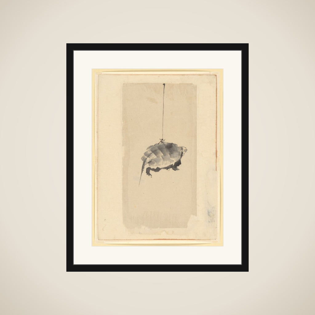 Tortoise Suspended By String framed