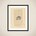 Tortoise Suspended By String framed