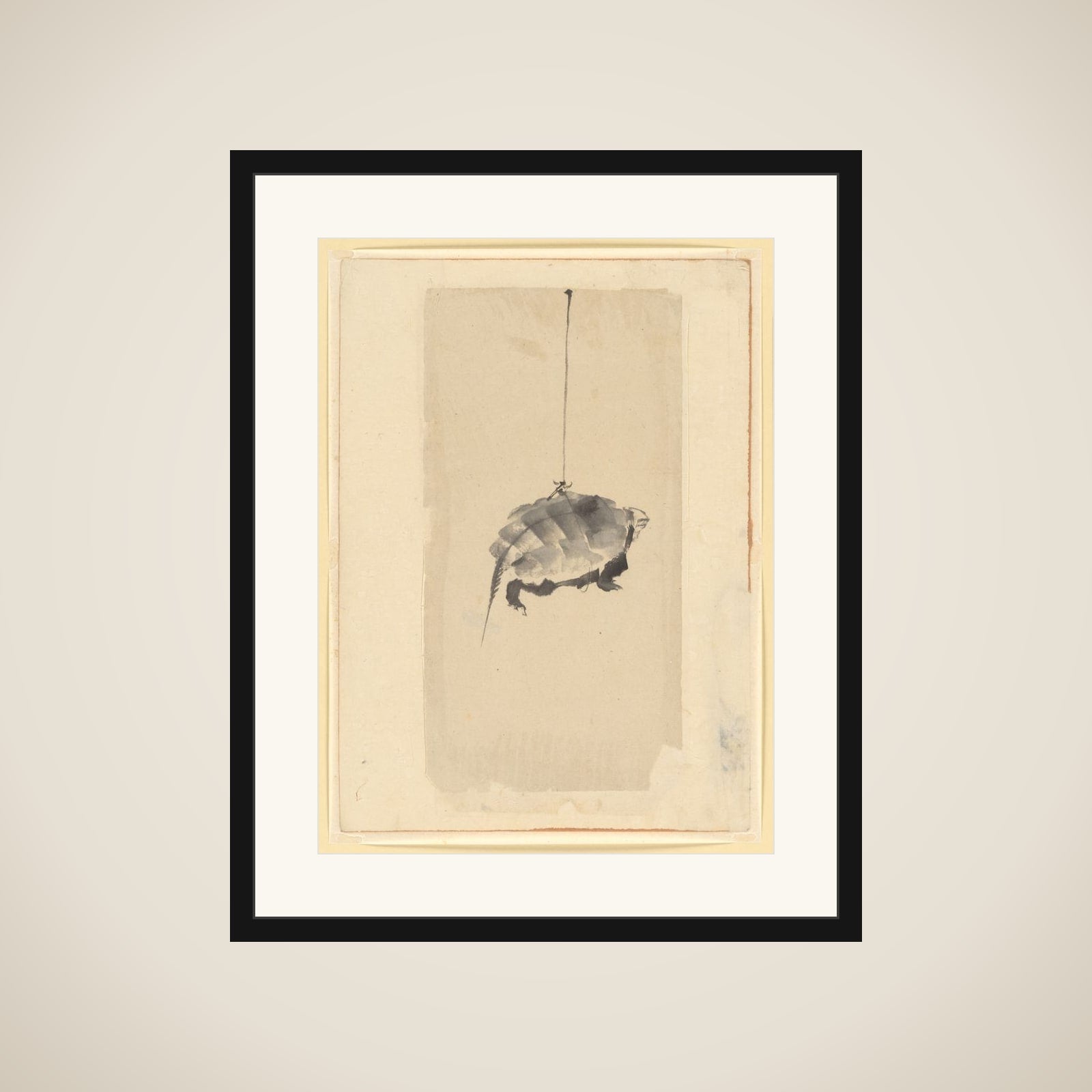 Tortoise Suspended By String framed