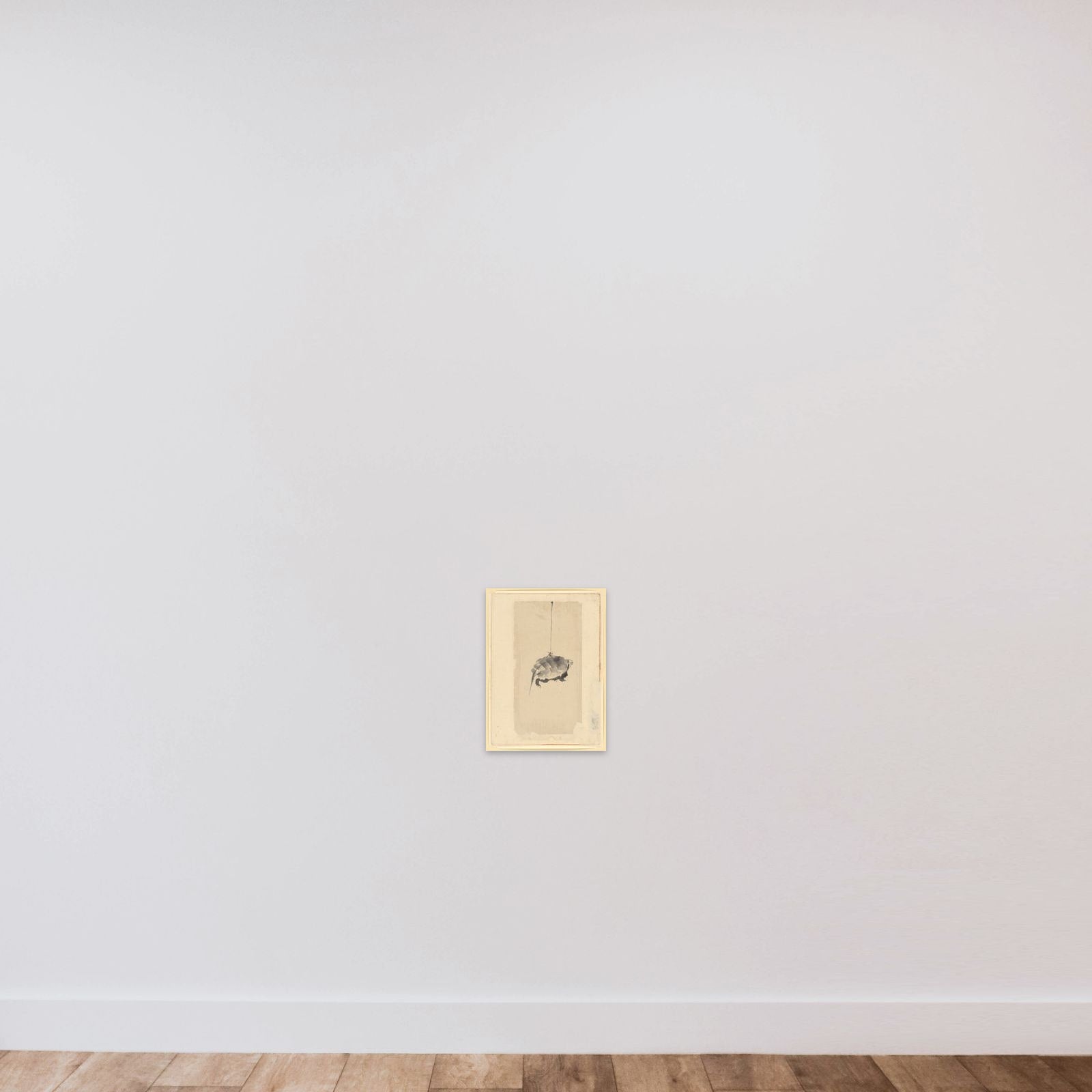 Tortoise Suspended By String unframed — shown to scale