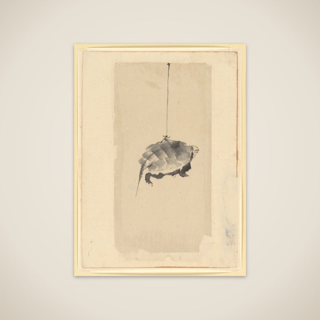 Tortoise Suspended By String unframed print