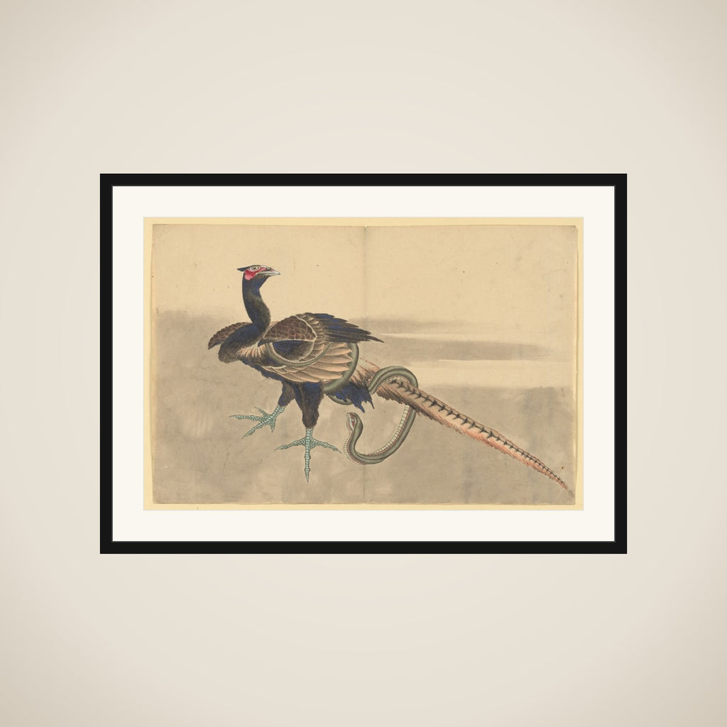 Pheasant and Snake framed