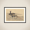 Pheasant and Snake framed