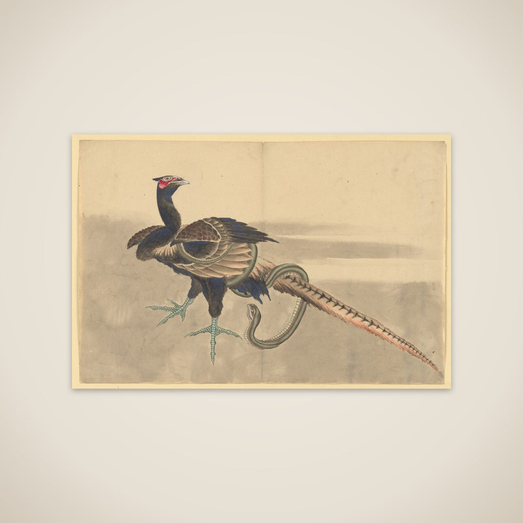 Pheasant and Snake unframed print