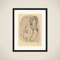 Snake Heads framed