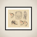 Four sketches of birds and one design for a grotesque mask, mounted together framed
