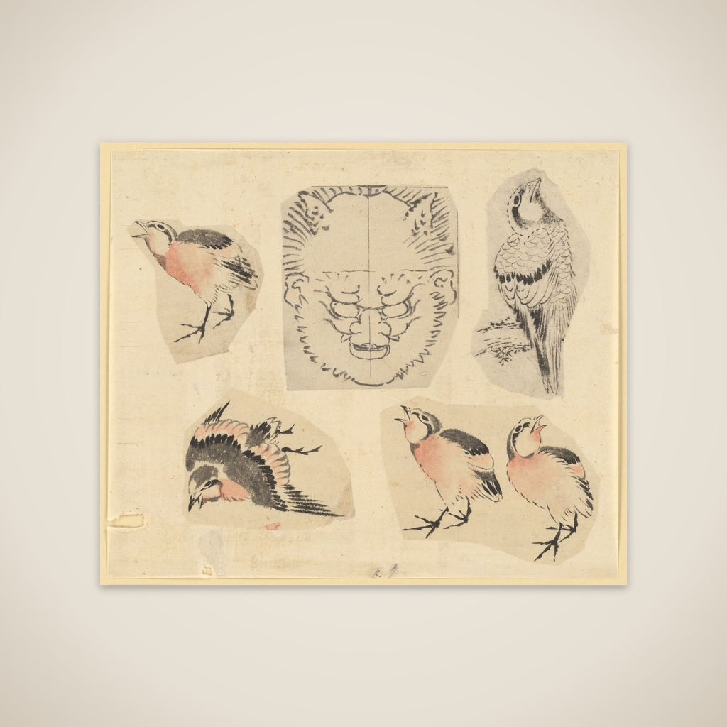 Four sketches of birds and one design for a grotesque mask, mounted together unframed print
