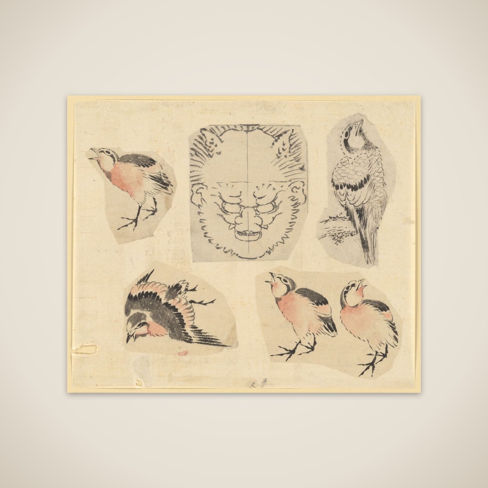 Four sketches of birds and one design for a grotesque mask, mounted together unframed print
