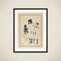 The Lacedemonian Ambassadors, for "The Lysistrata of Aristophanes" framed