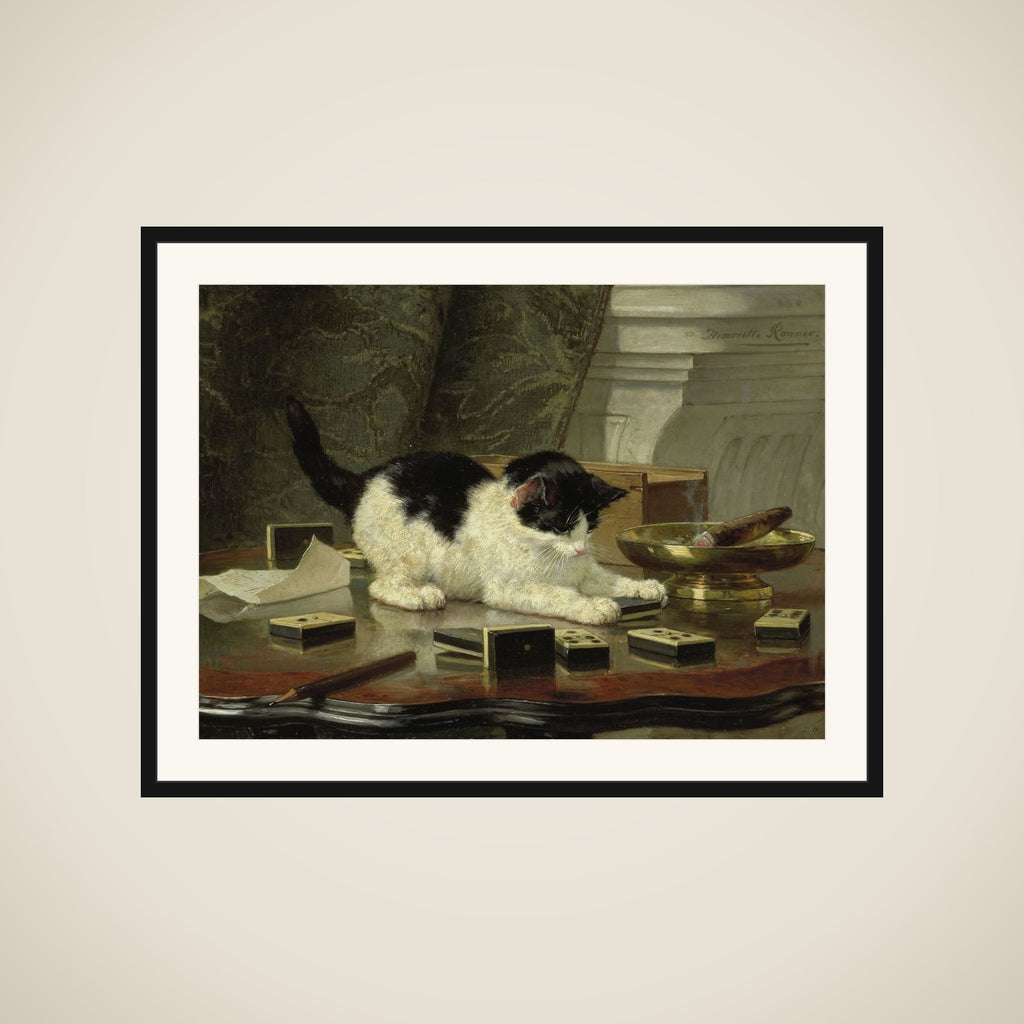 The cat at play framed