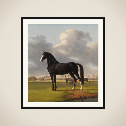 Adriaan van der Hoop’s Trotter ‘De Vlugge’ (The Fast One) in a Meadow framed