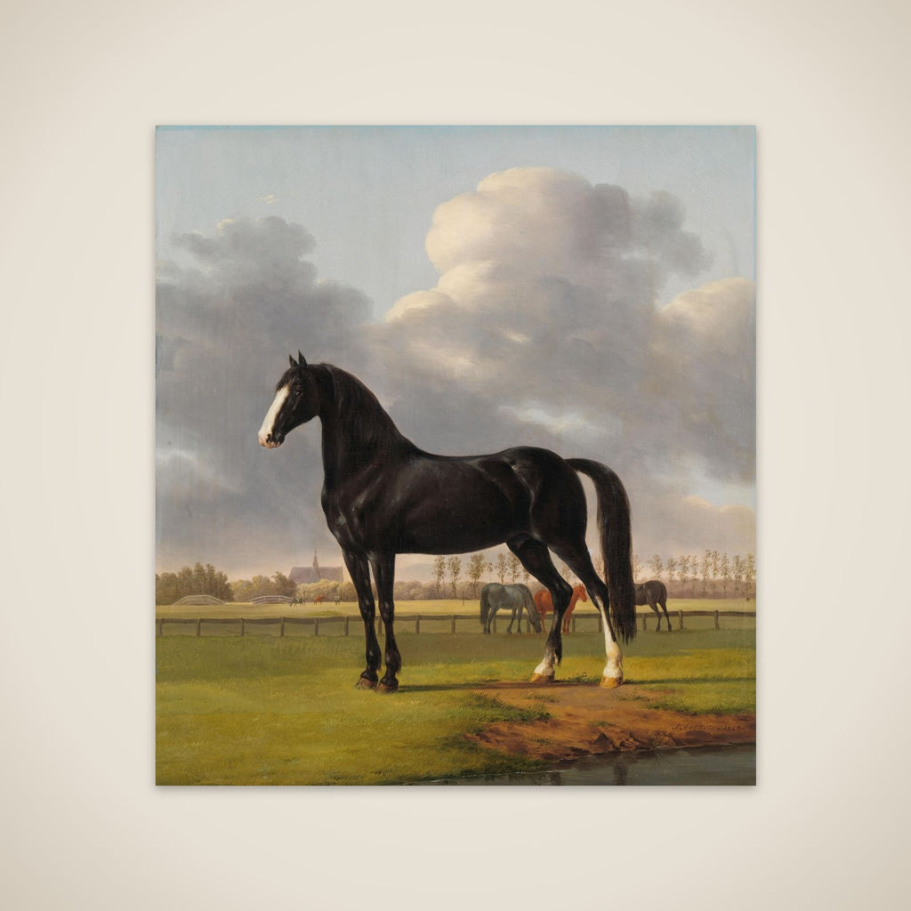 Adriaan van der Hoop’s Trotter ‘De Vlugge’ (The Fast One) in a Meadow unframed print
