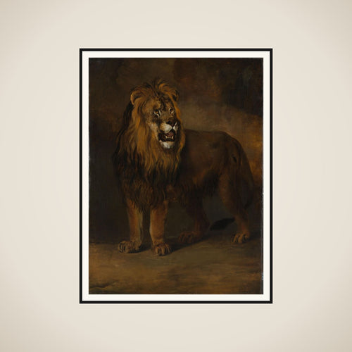 A Lion from the Menagerie of King Louis Napoleon, 1808 framed