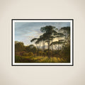 Italian Landscape with Umbrella Pines framed