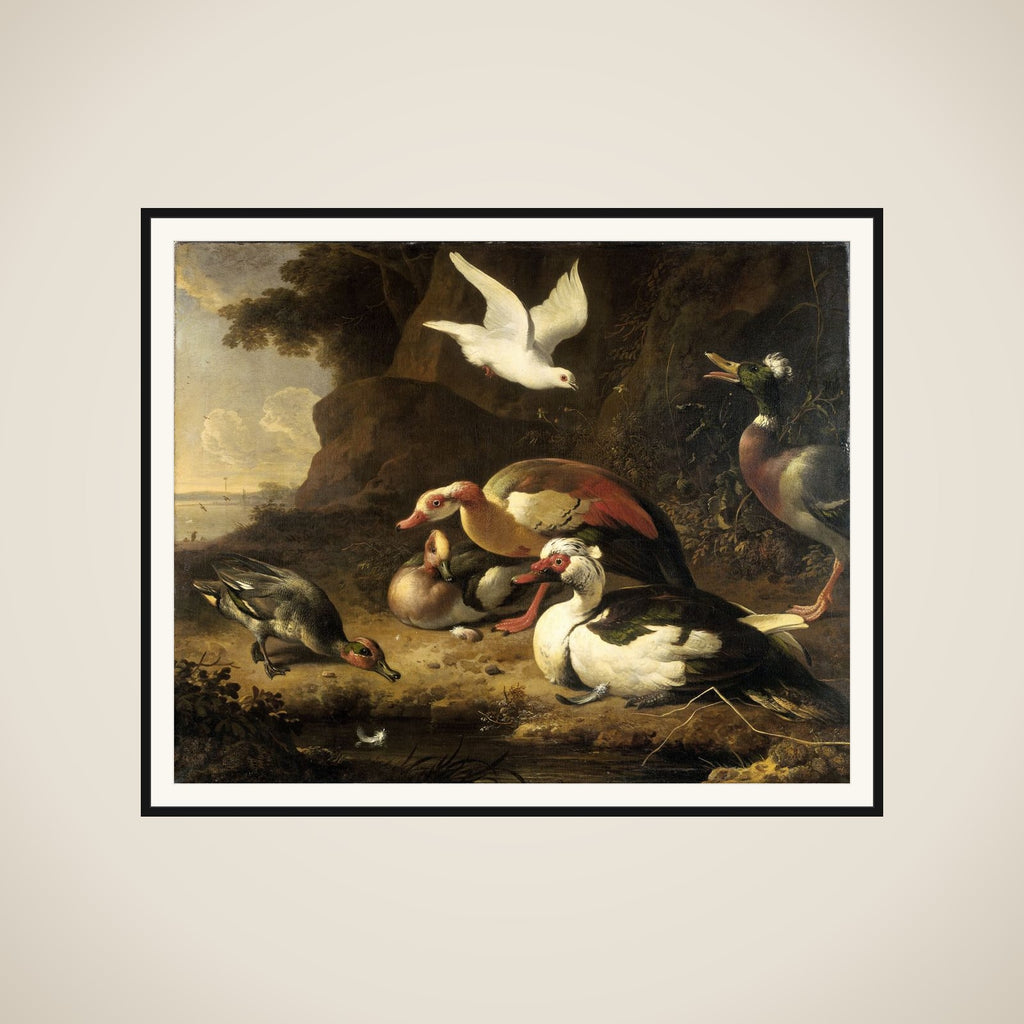 Ducks framed