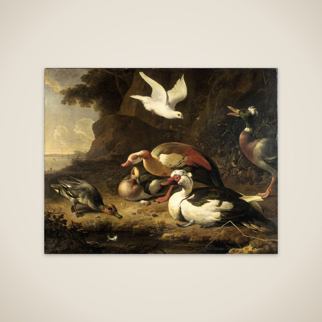 Ducks unframed print