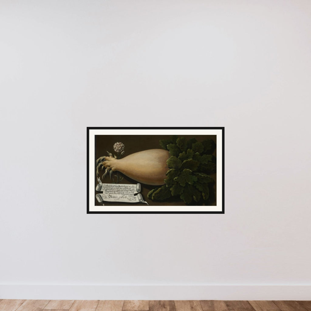 A Giant Radish framed — shown to scale