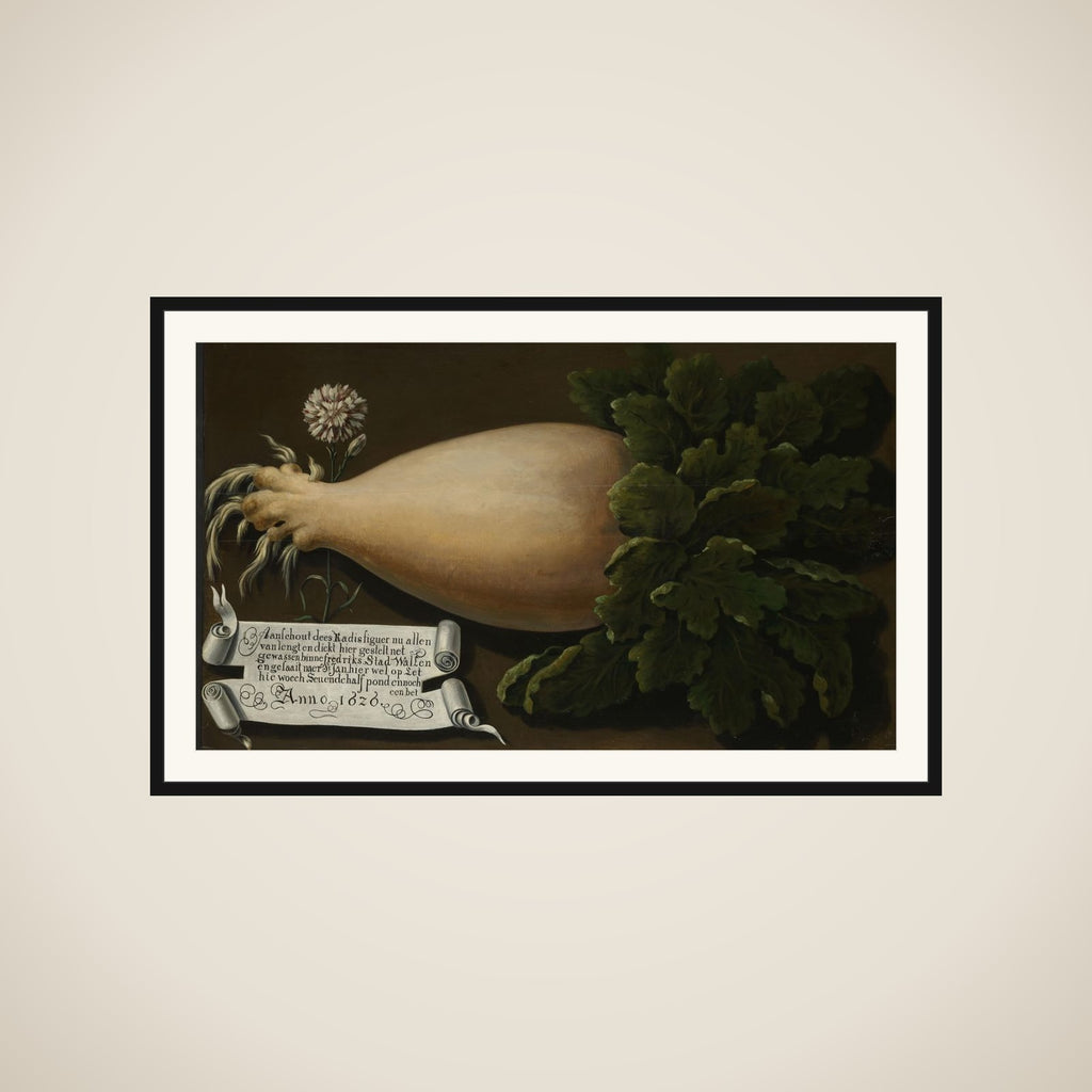 A Giant Radish framed