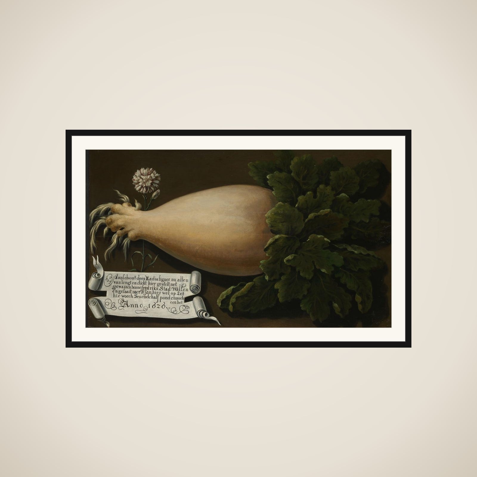 A Giant Radish framed