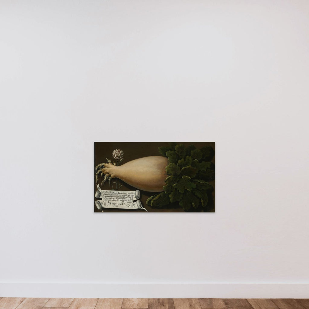 A Giant Radish unframed — shown to scale