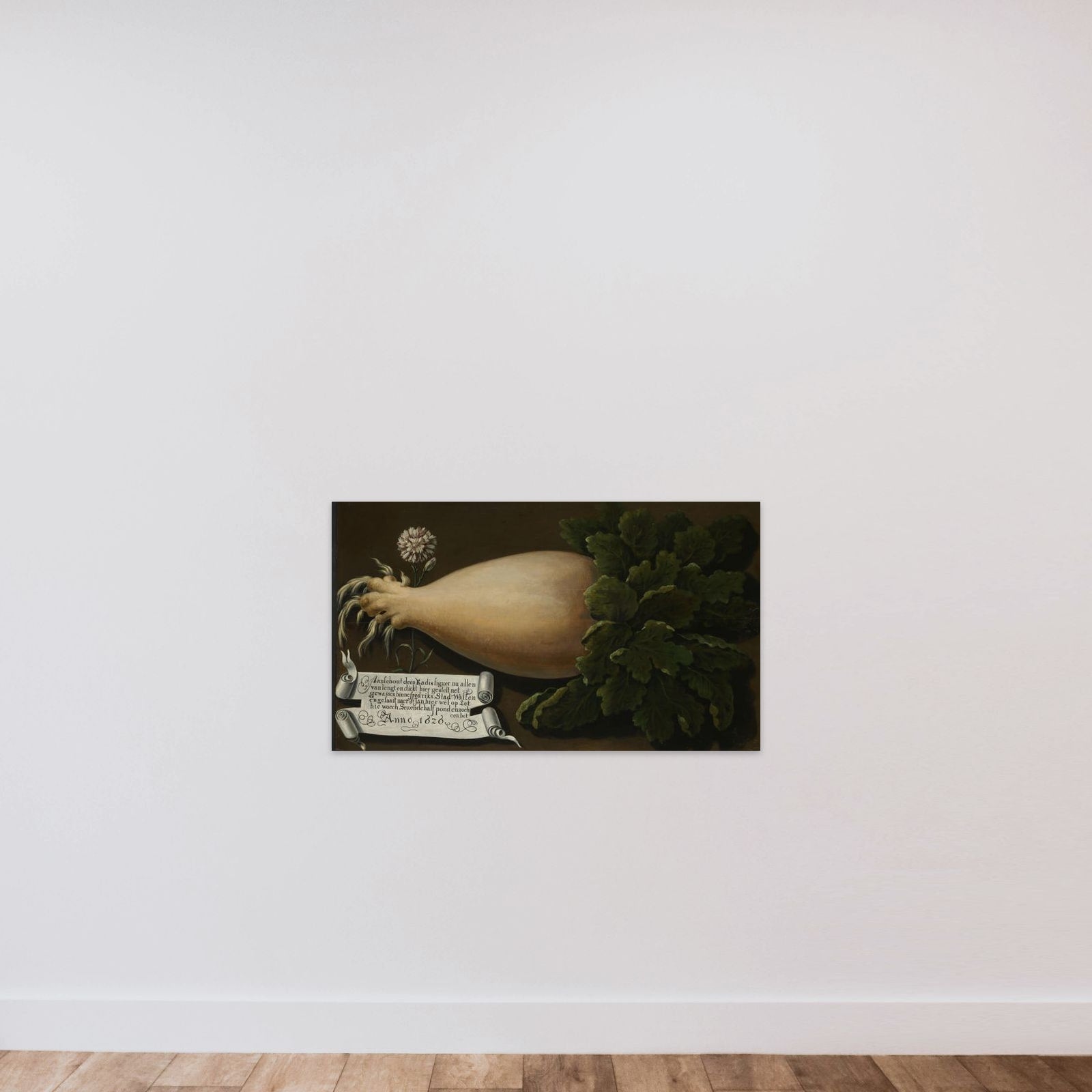 A Giant Radish unframed — shown to scale