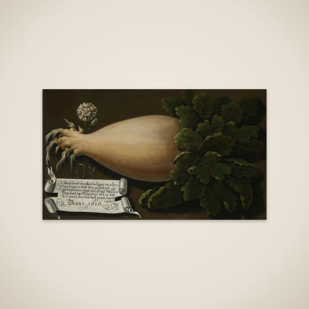A Giant Radish unframed print