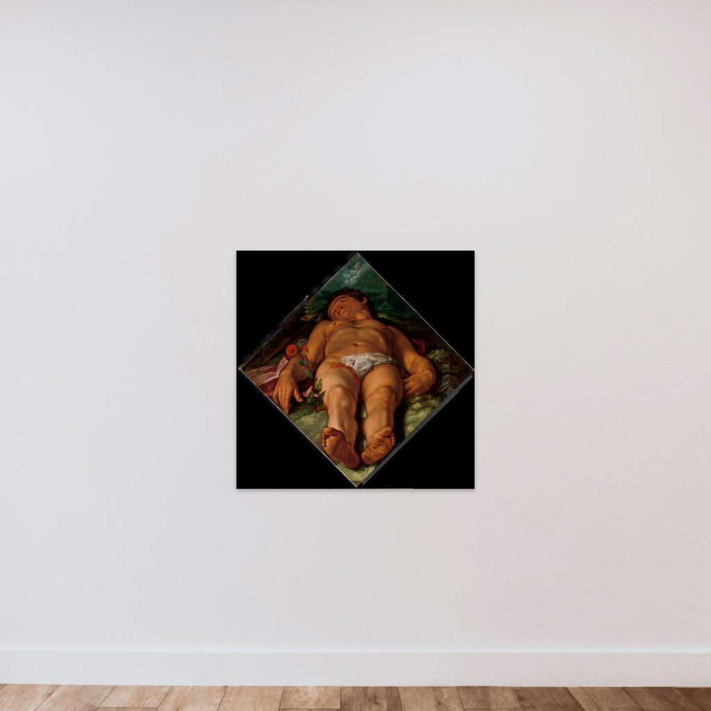 Dying Adonis unframed — shown to scale