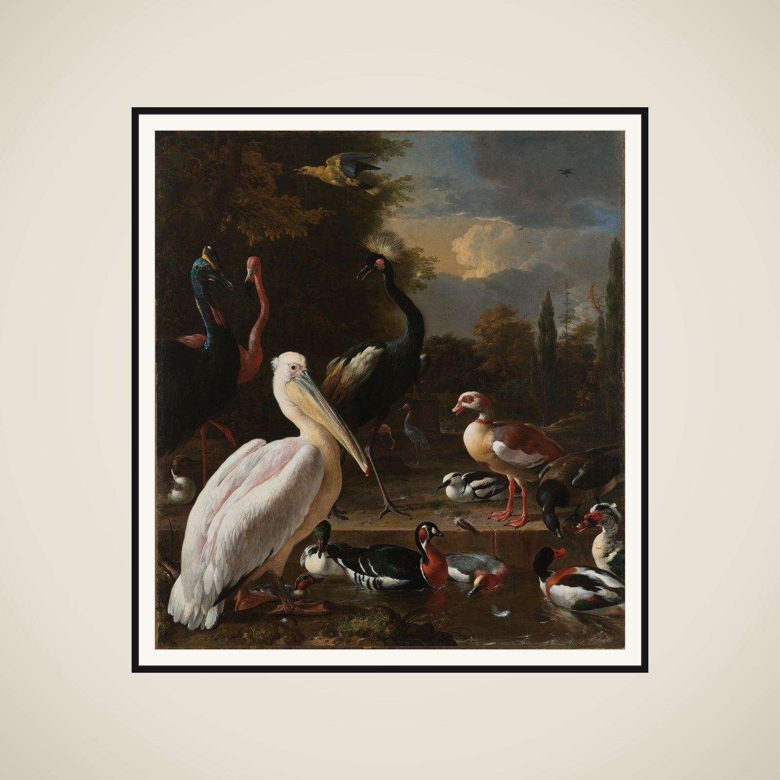 A Pelican and other Birds near a Pool, known as 'The Floating Feather' framed